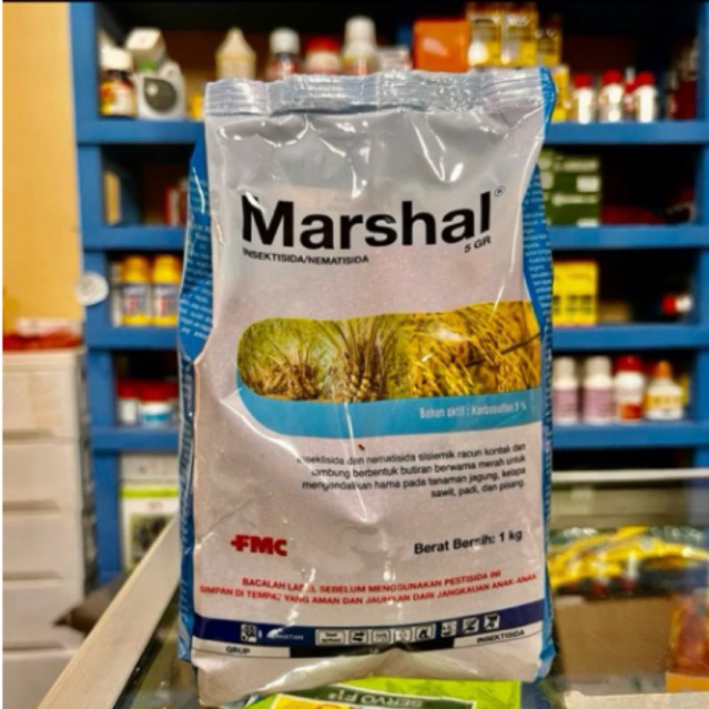 Marshal 5 GR Kemasan repack