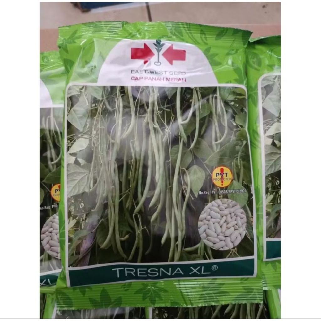 Benih bibit buncis panjang Tresna XL 500gr cap panah merah
