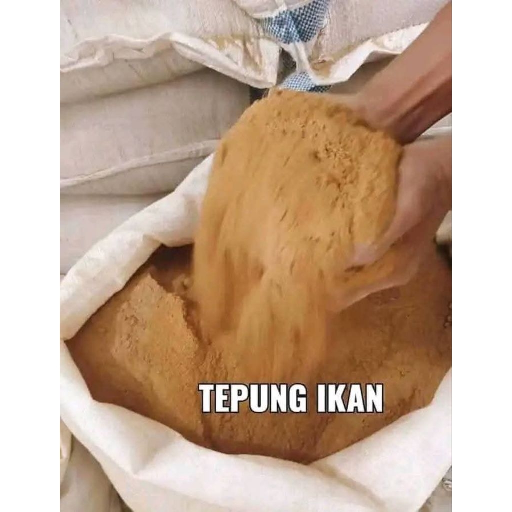 Tepung_Ikan