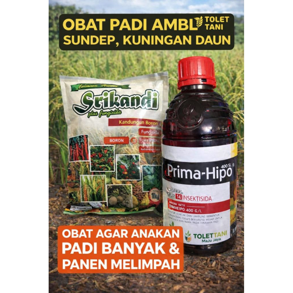 Obat Padi Lengkap Ambles Sundep Kuning Daun | Insektisida + Fungisida Padi Ampuh | Obat Pengganda An