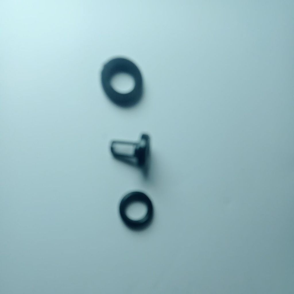 Oring+Filter Injektor BEAT/VARIO/SCOPY
