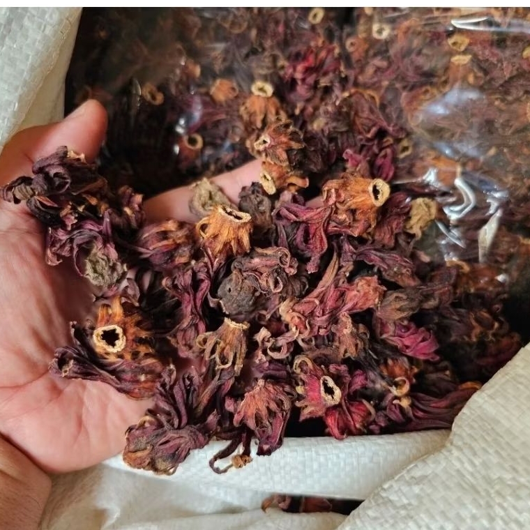 Bunga Rosella Kering 500Gr / Supplier Teh Bunga Rosela Kering Tbk