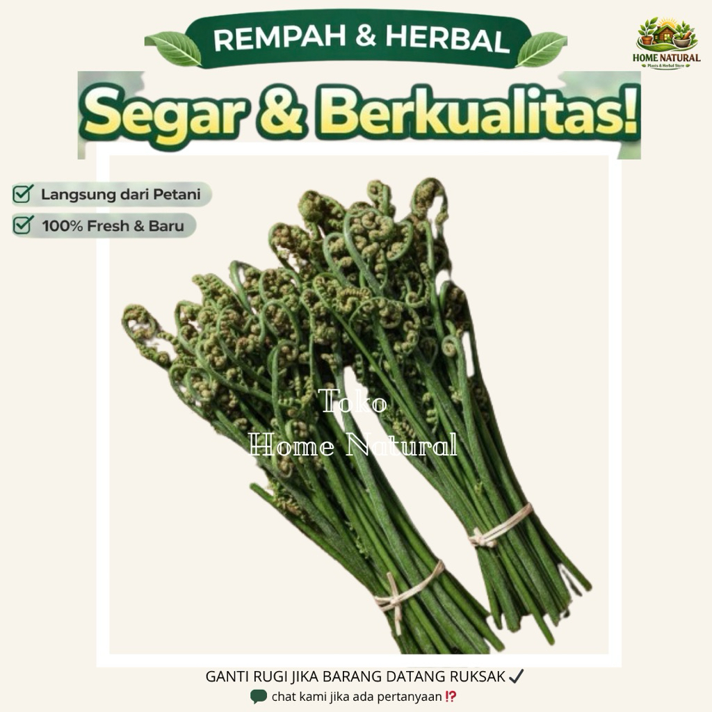 Daun pakis sayur segar 1kg Tempura pakis Pakis Sayur