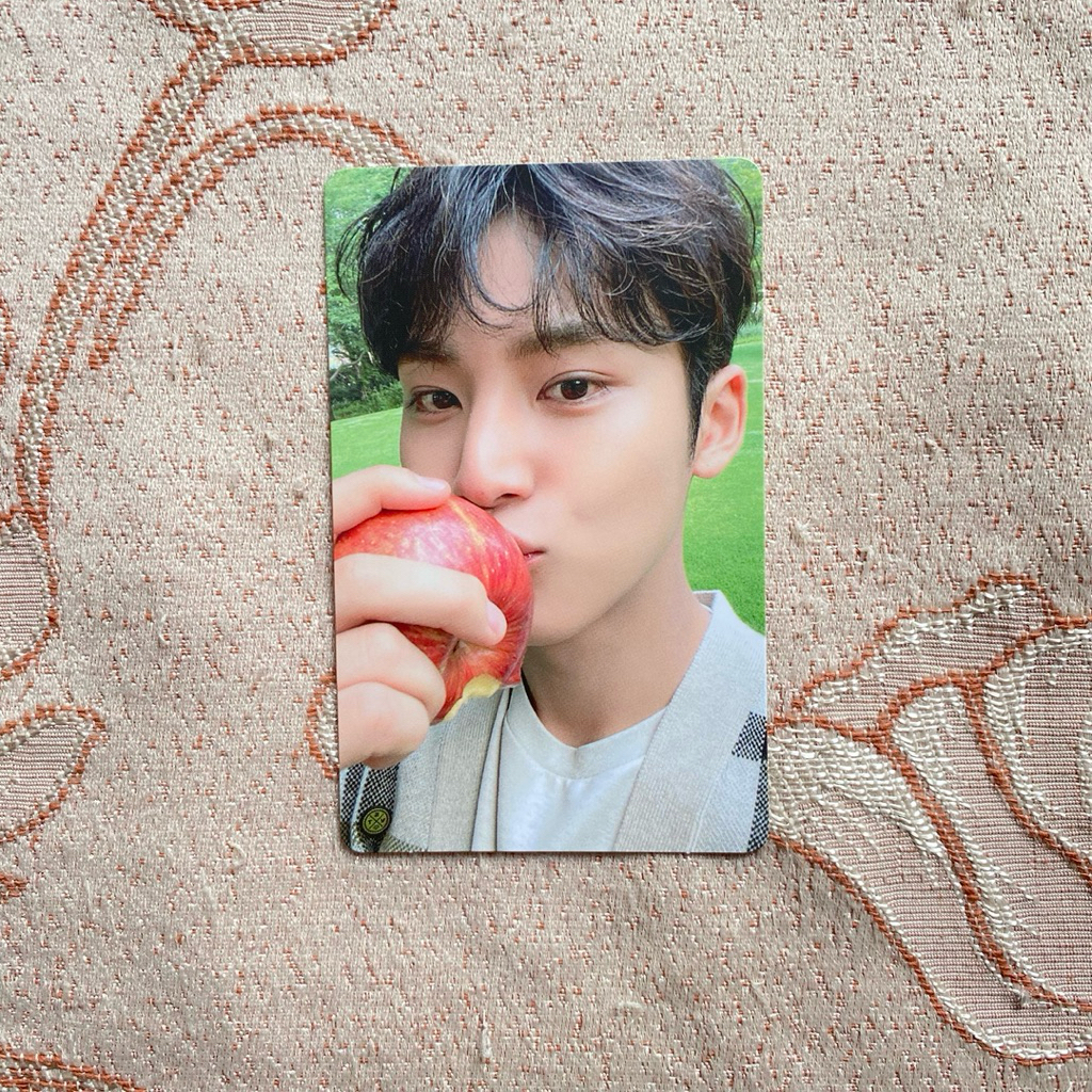 SEVENTEEN PC SOCIAL CLUB SOCO APEL MINGYU