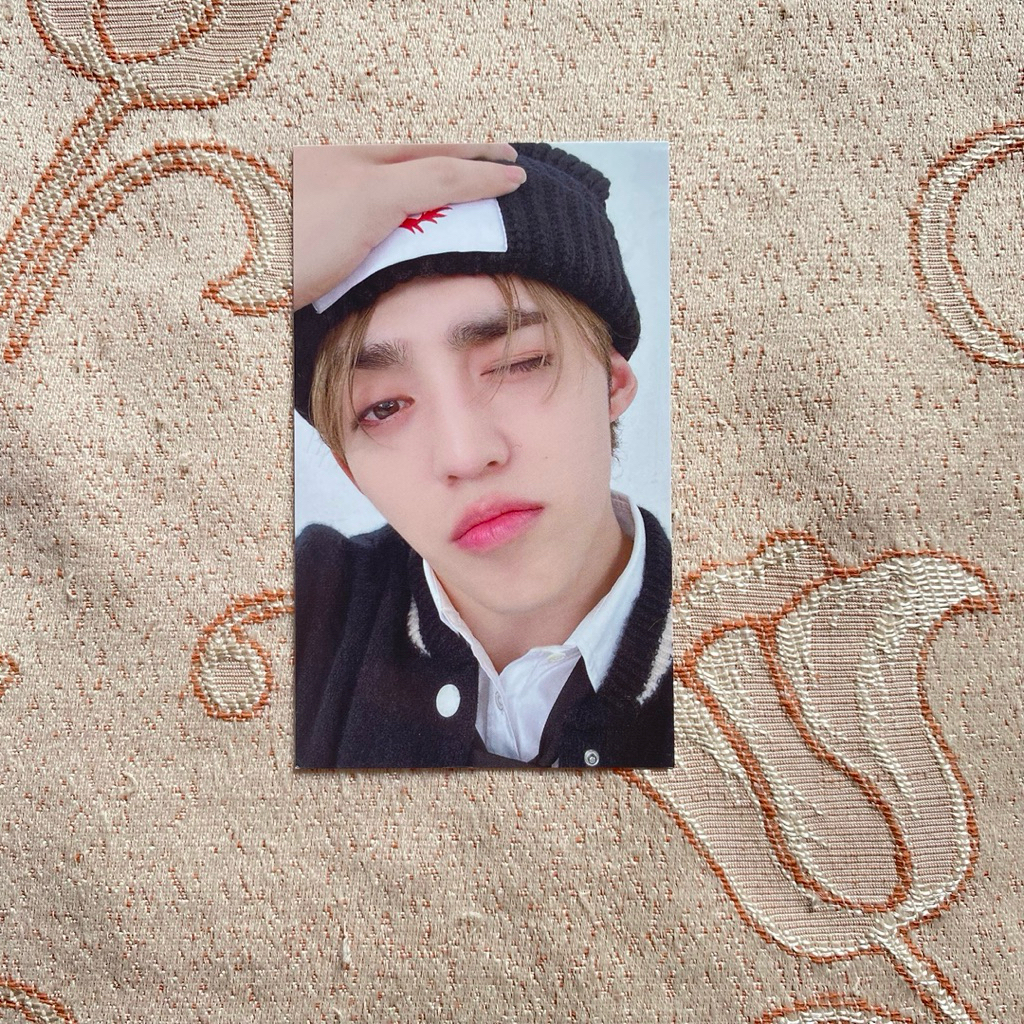 SEVENTEEN PC BENE UMS RIGHT HERE SCOUPS