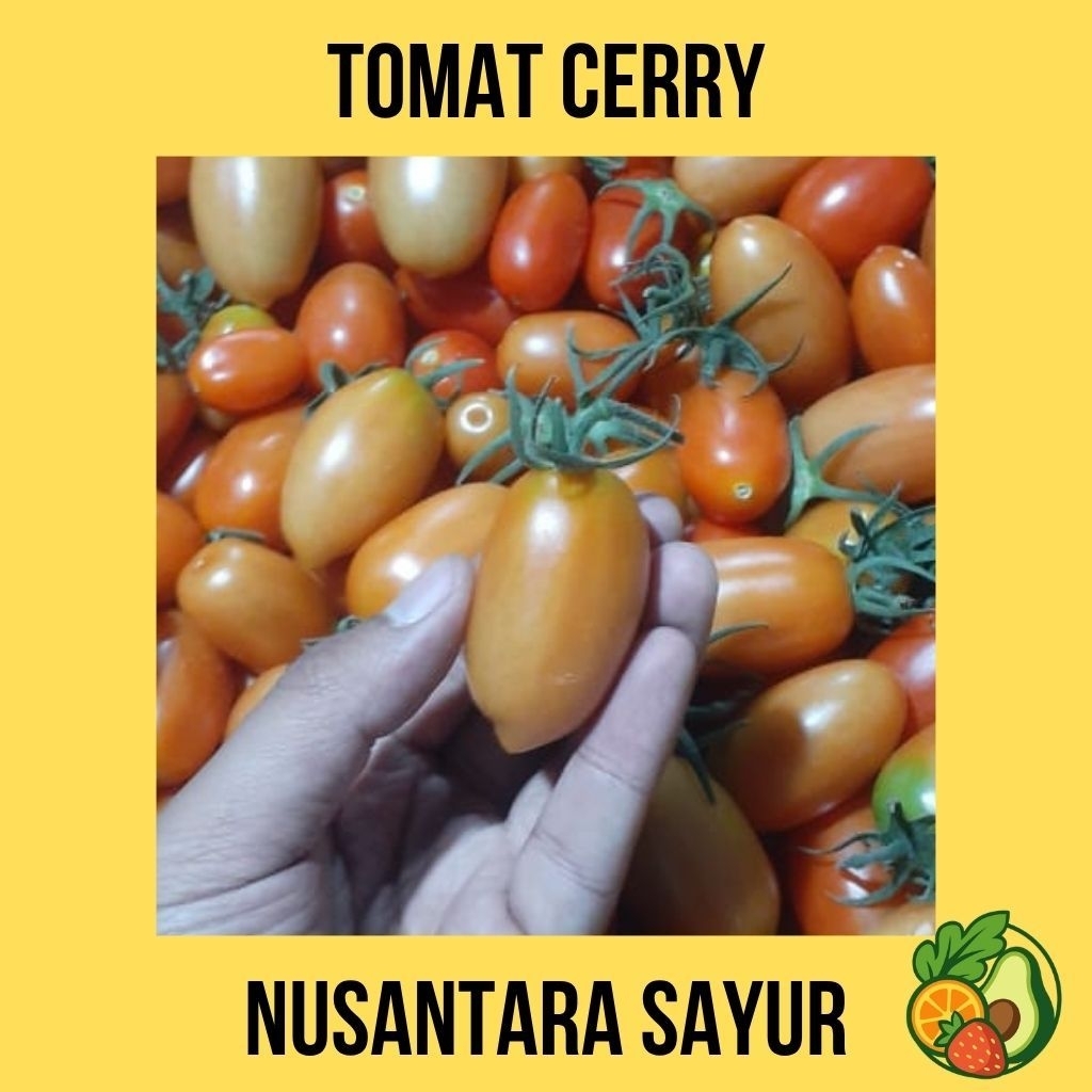 Tomat Ceri Fresh 1 Kg – Buah Mini Manis & Gurih | Cocok Salad & Snack