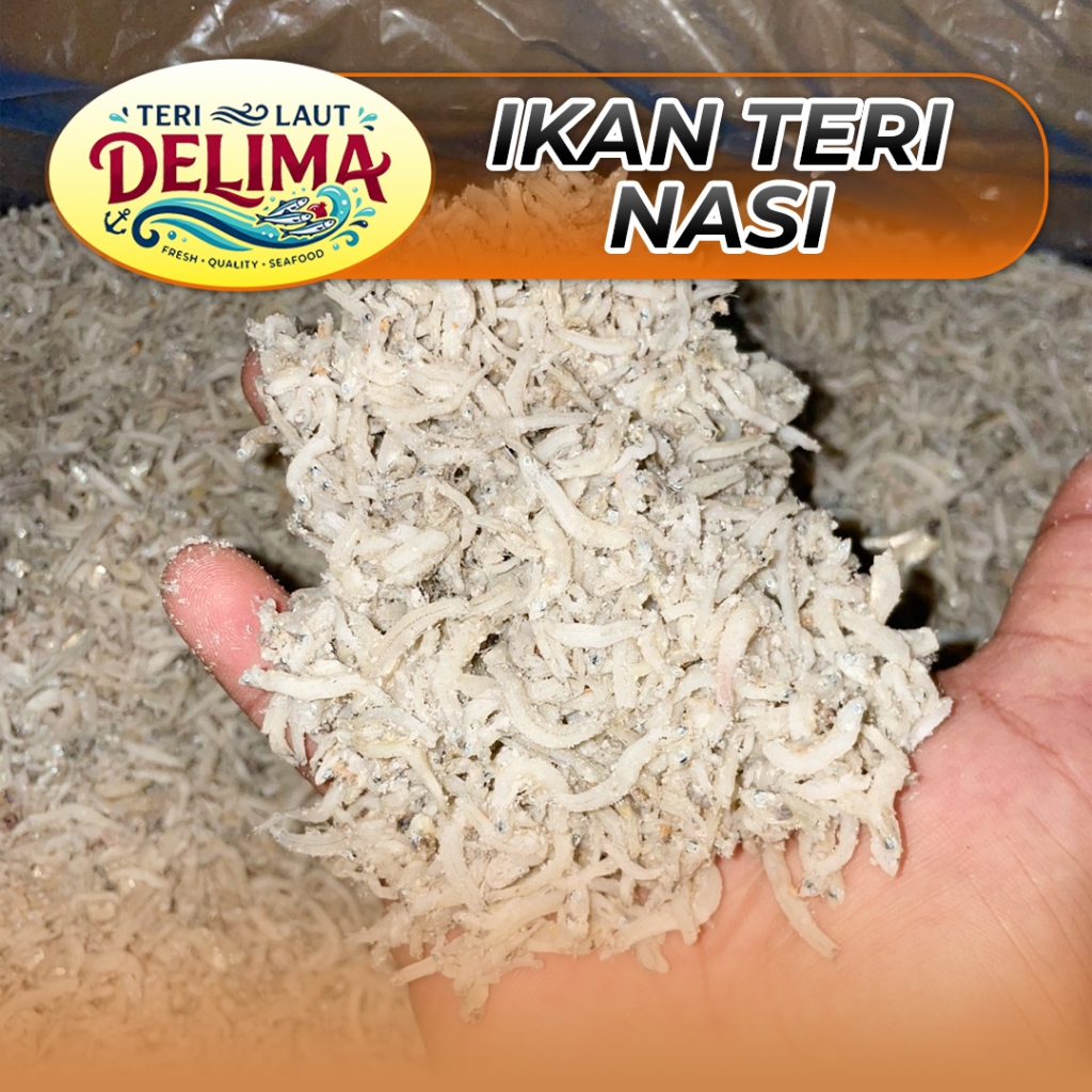 IKAN TERI NASI MEDAN 100% ASLI | 1 Kg / 500 gr