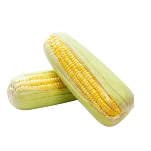 Jagung Manis Segar 1 Buah | Jagung Fresh Manis Pulen Siap Rebus