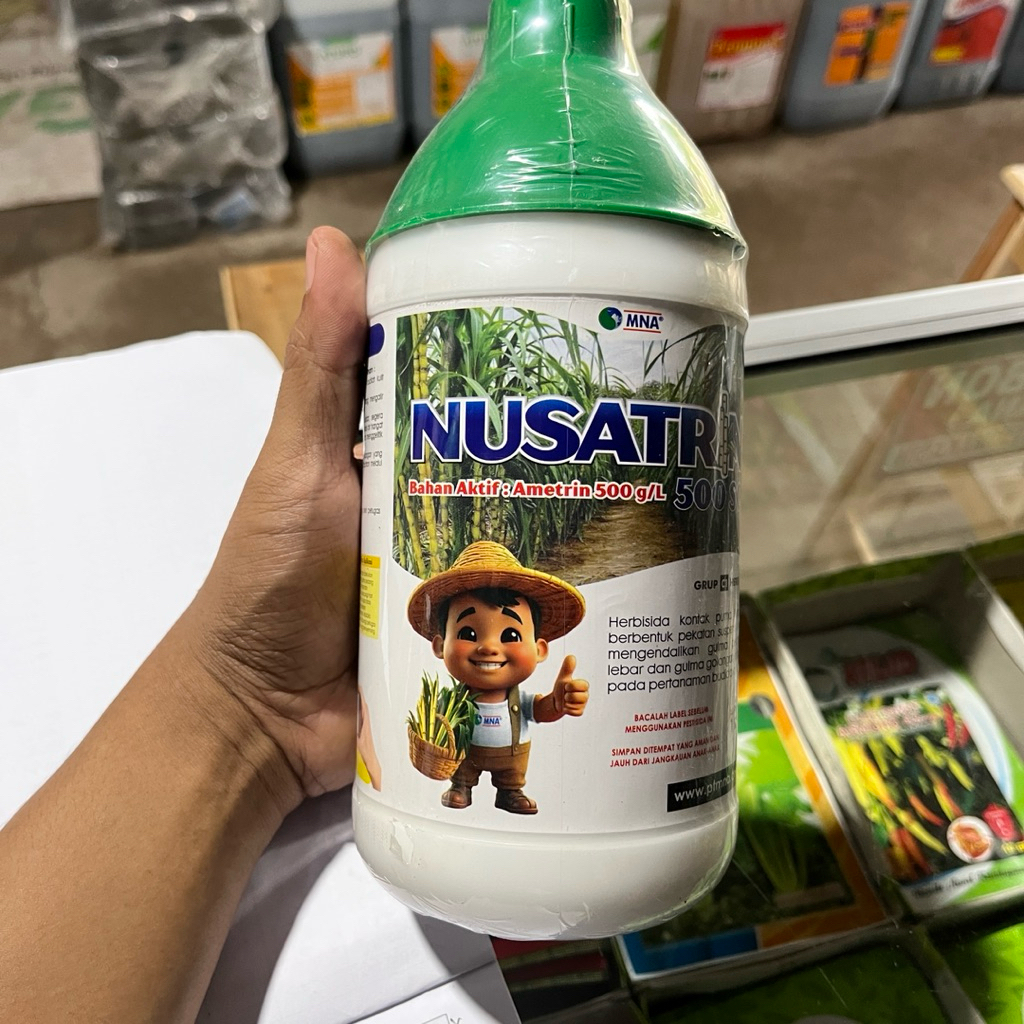 herbisida nusatrin pembasmi rumput di tanaman tebu