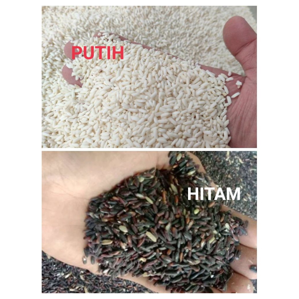 Beras Ketan Hitam/Putih 1 Liter import premium Quality murah