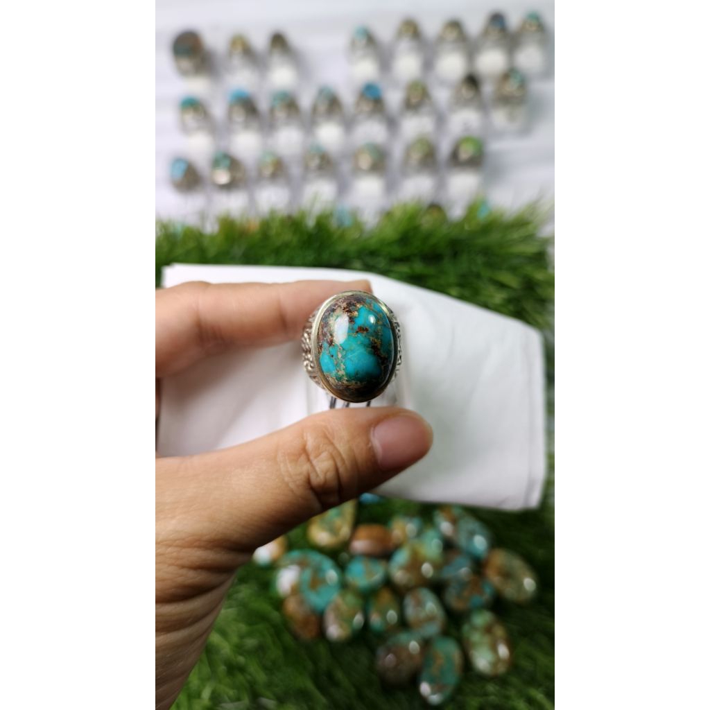 pirus persia asli original