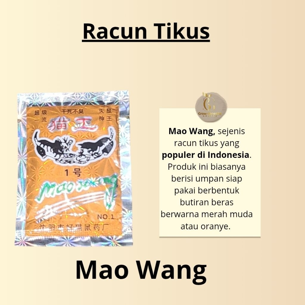 RACUN TIKUS MAO WANG || Racun Tikus MAO WANG