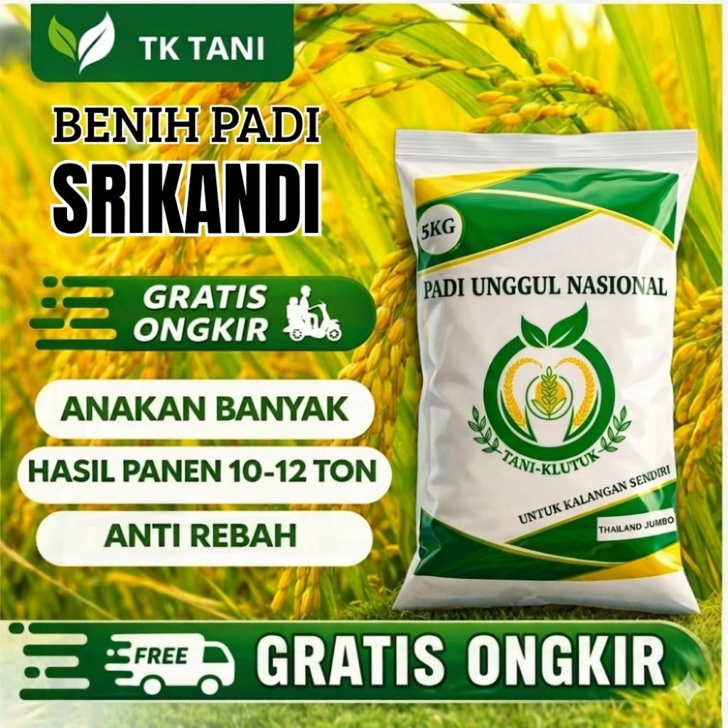 BENIH PADI UNGGUL BERKUALITAS SRIKANDI 100% ORIGINAL