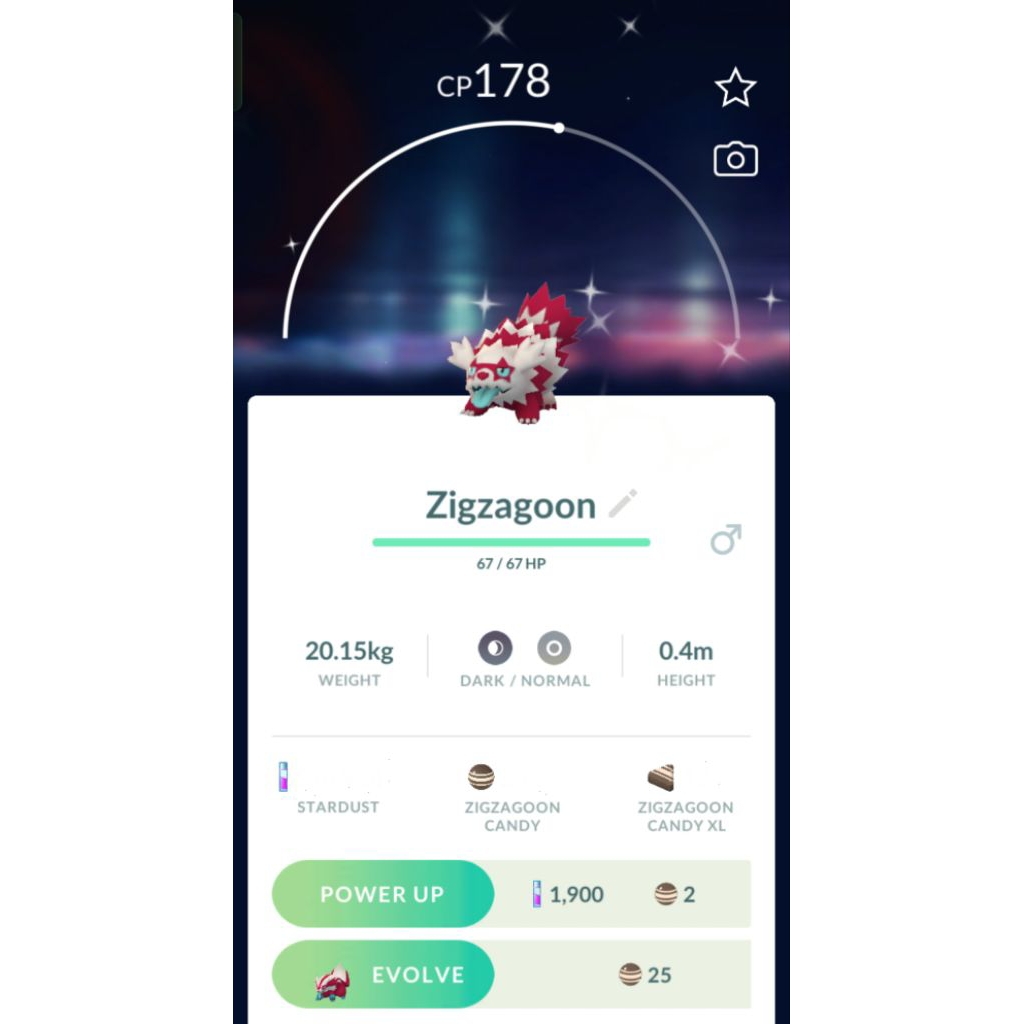 POKEMON GO - ZIGZAGOON GALAR SHINY