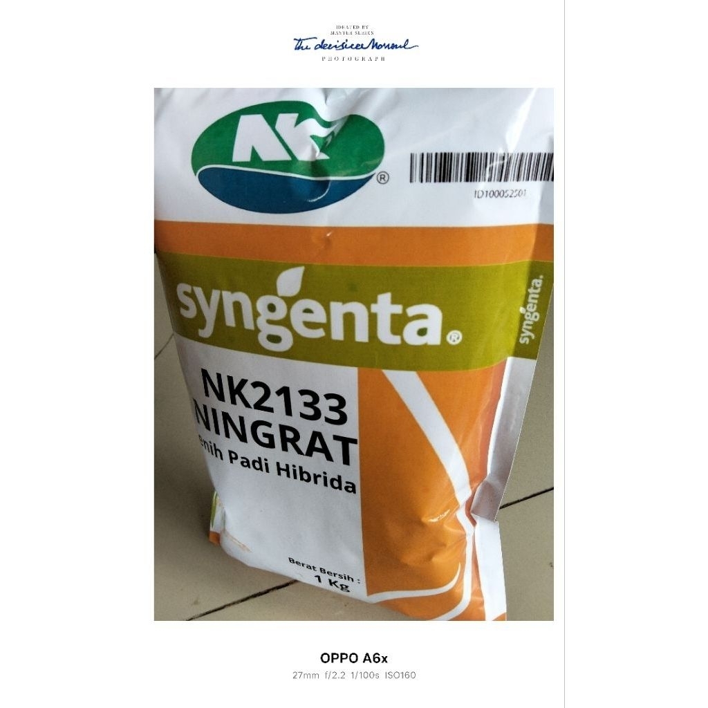 (1KG) BENIH BIBIT PADI NINGRAT NK2133 SUPER BERKUALITASUNGGUPAN ORIGINAL