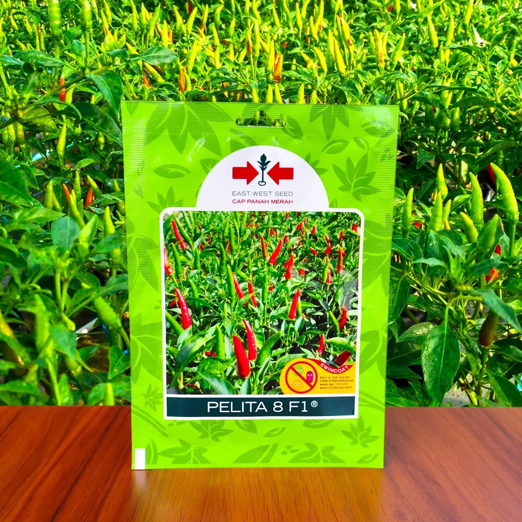 benih cabe PELITA 8 F1 2250 butir cabai rawit hijau dari panah merah