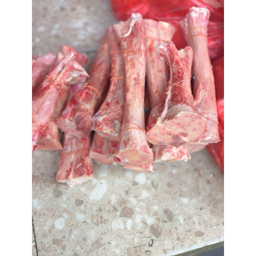 Bone marrow