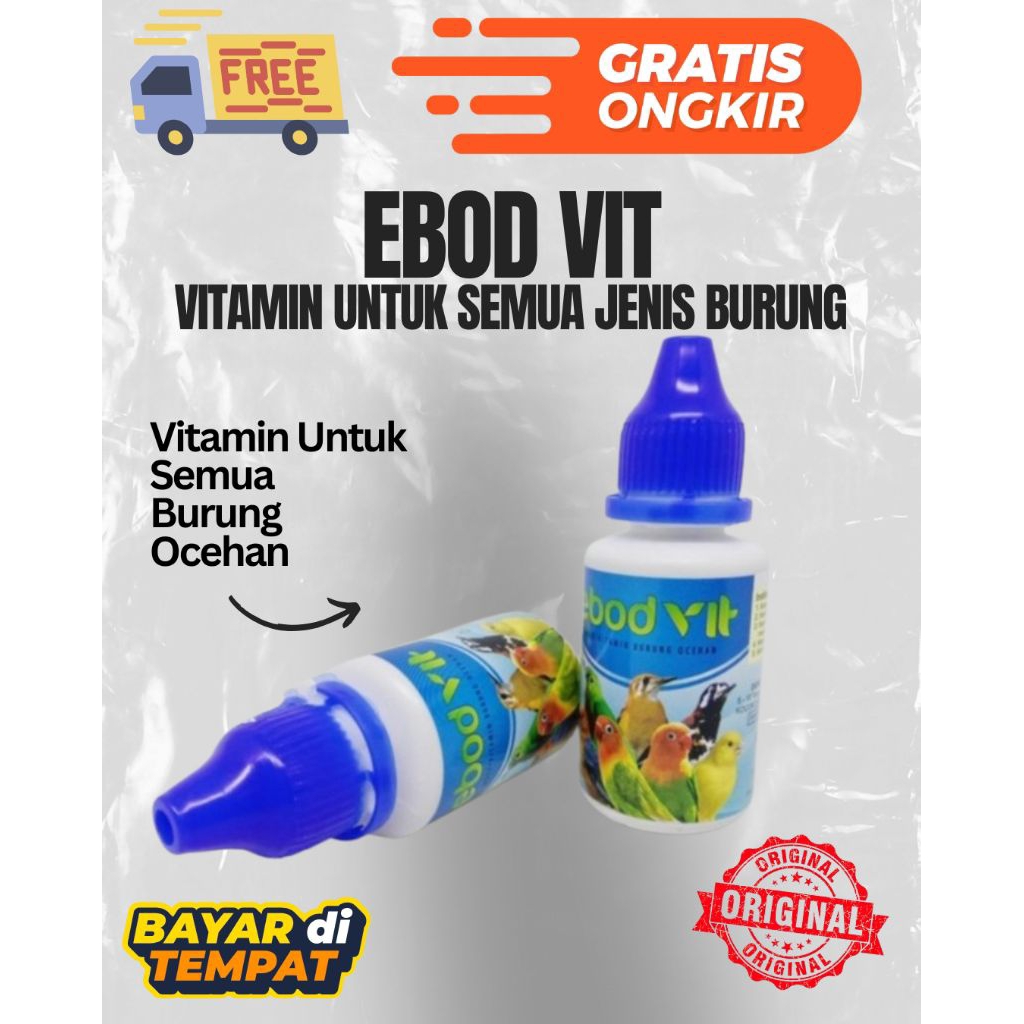 EBOD VIT ORIGINAL