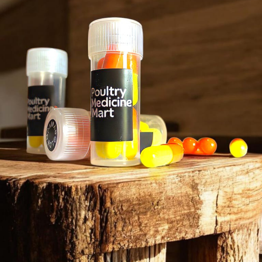 GOLDEN PAMA - Obat Doping ayam aduan untuk meningkatkan stamina /pengobatan turun urat pada ayam adu