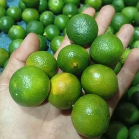 Jeruk kasturi berat 1 kg (Pengiriman Medan)