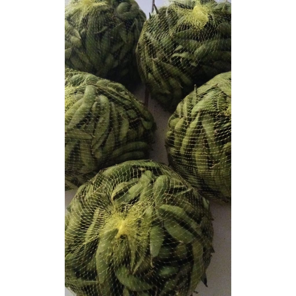 Instan edamame segar 1kg Sidoarjo