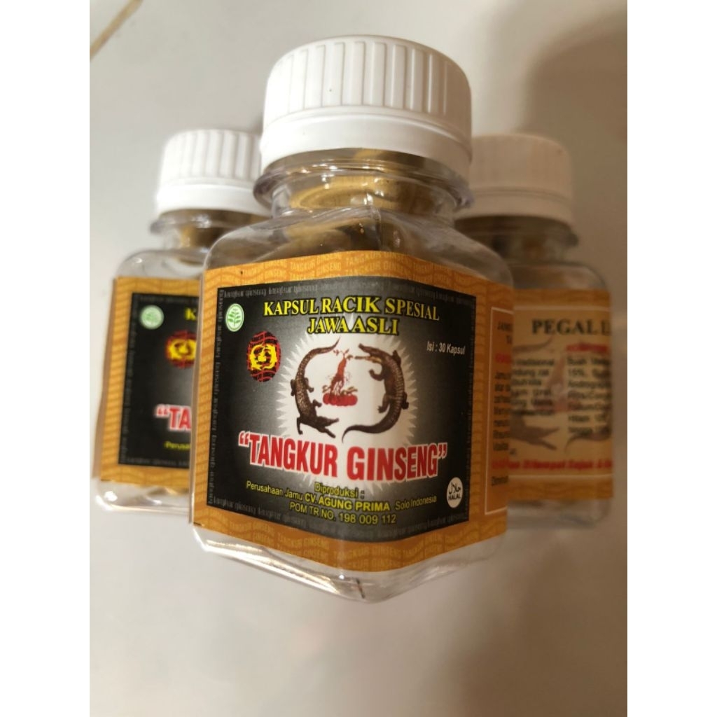 TANGKUR GINSENG pegel linu