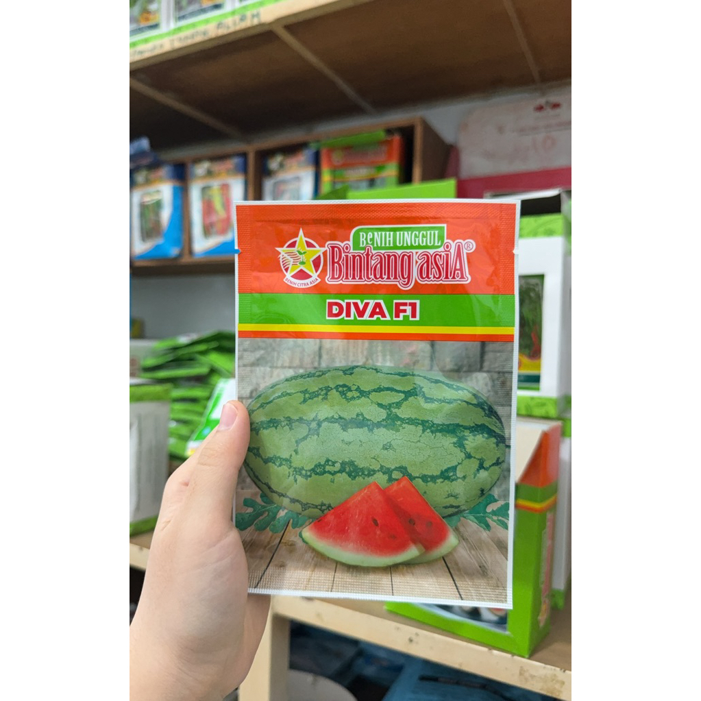 Benih Semangka Diva F1 Kemasan 20gr