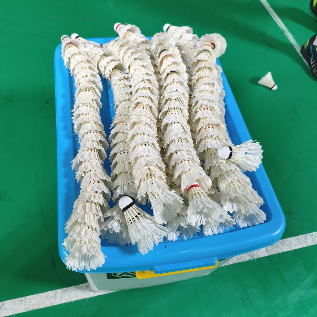 BOLA BEKAS - BOLA SHUTTLECOCK KOK BADMINTON BULUTANGKIS BEKAS UNTUK LATIHAN MURAH