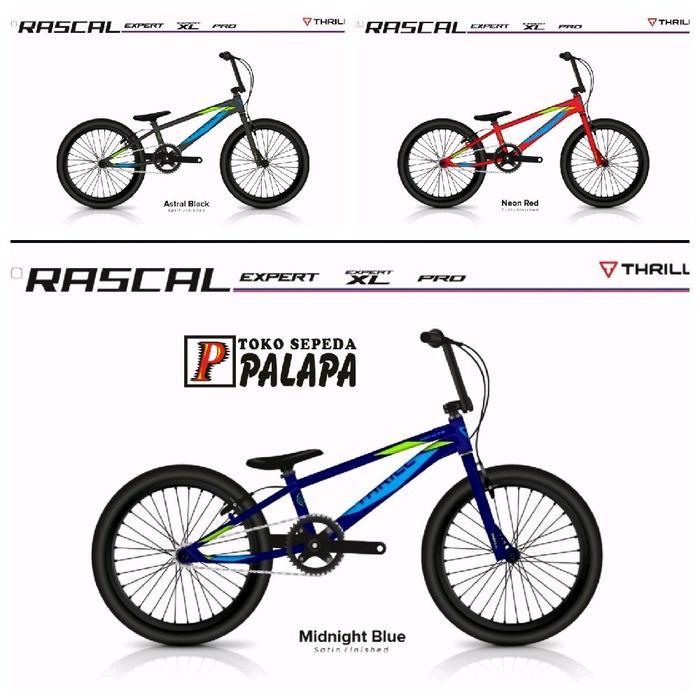 Sepeda Anak BMX 20 Inch Thrill Rascal Expert Frame Alloy