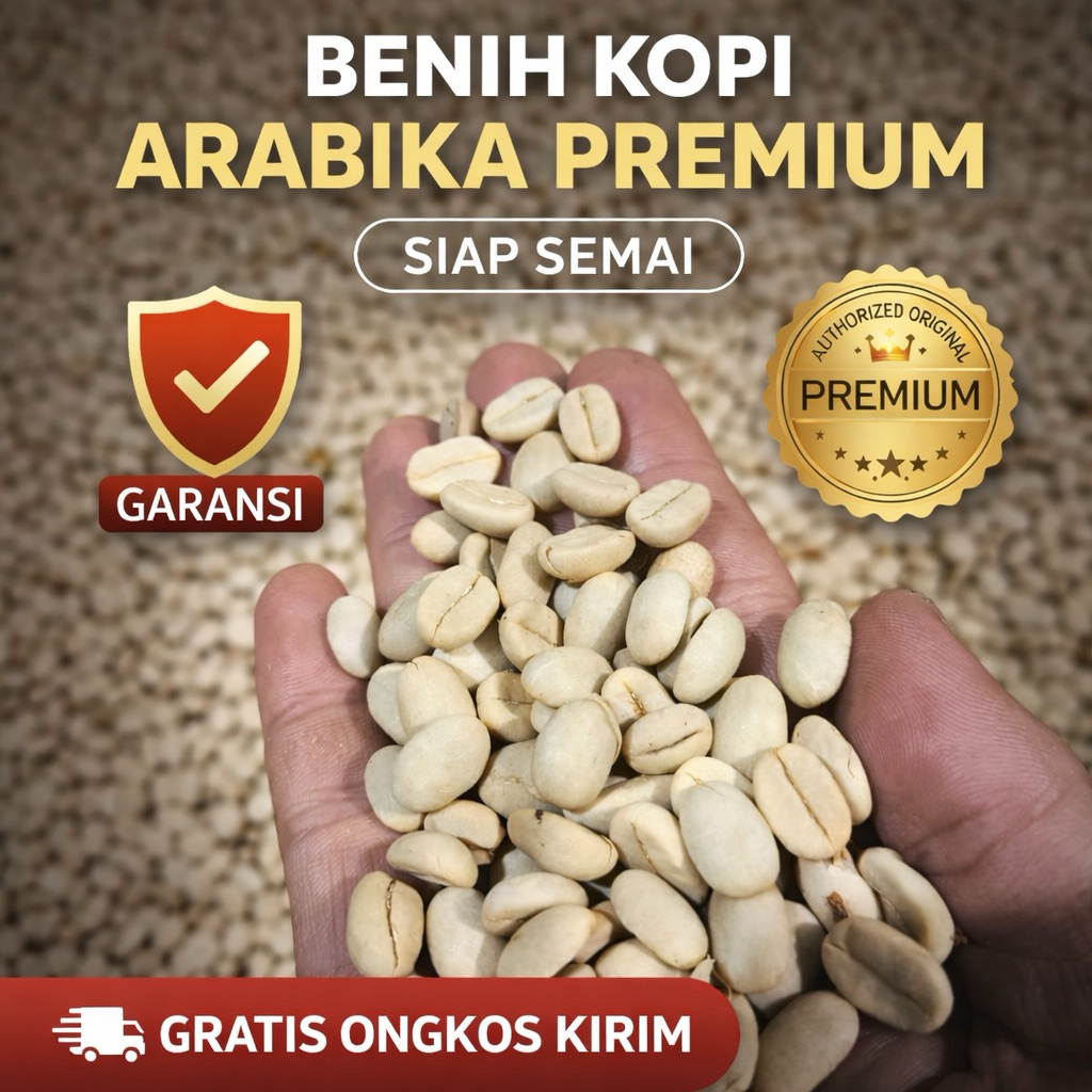 Benih Bibit Kopi Arabika 200Gram Siap Semai | Bergaransi Keaslian Dan Berkualitas