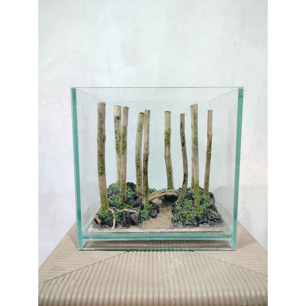 Aquascape Jungle/Aquascape Hutan/Aquascape sintetis