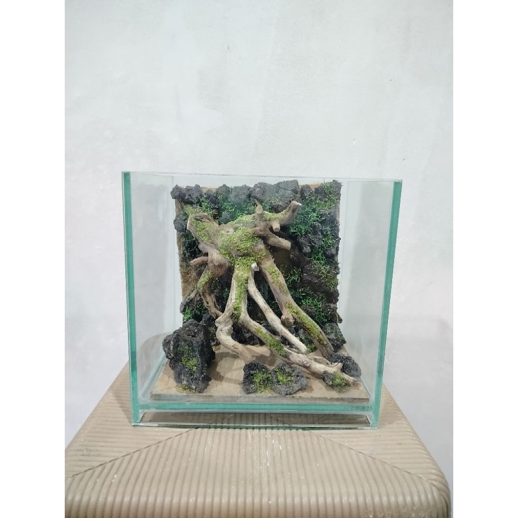 Aquascape/aquascape sintetis/hardscape aquascape
