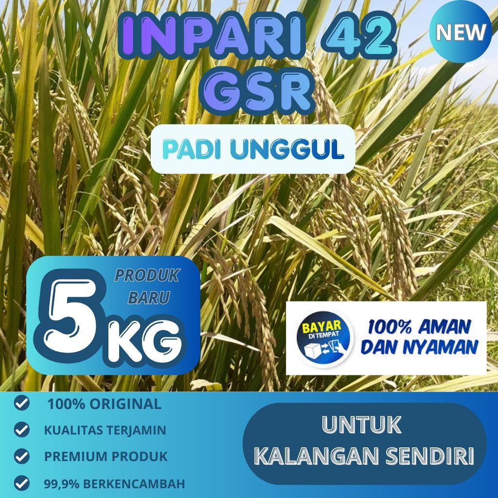 Benih padi hibrida F1 INPARI-42 ANGRITAN GSR kemasan 5kg