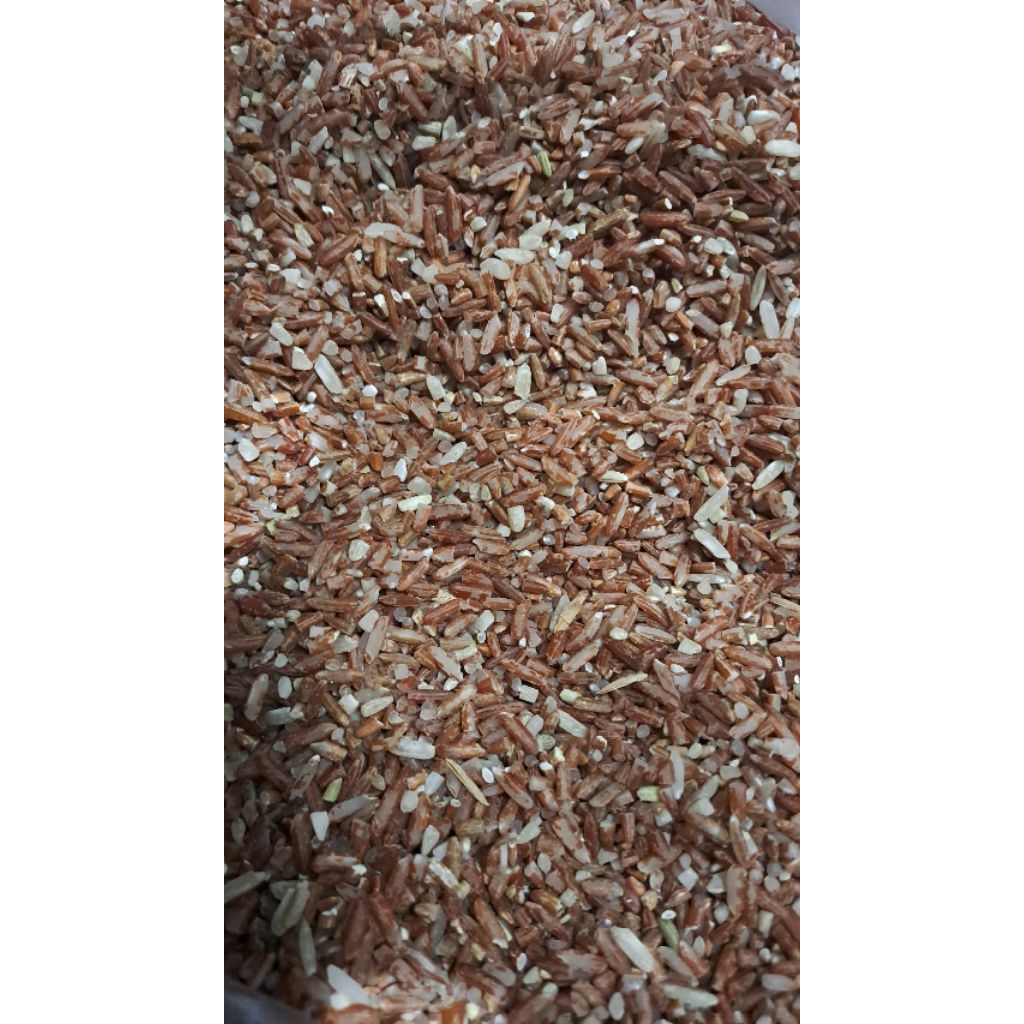 Beras Merah 1kg Super - Kaya Serat, Rendah Kalori, Tingkatkan ASI