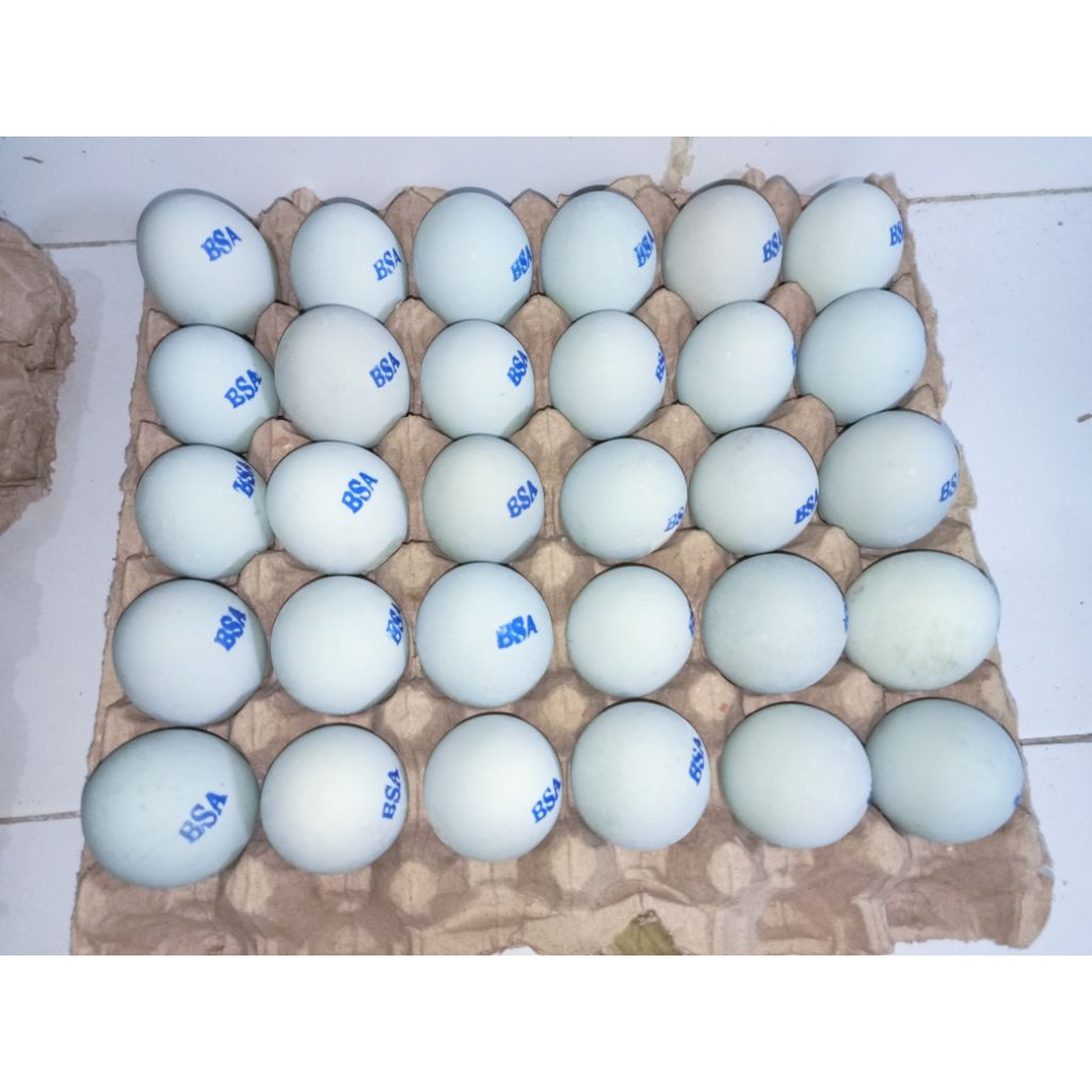 Telur Asin Santri BSA 10 Butir 1 Box