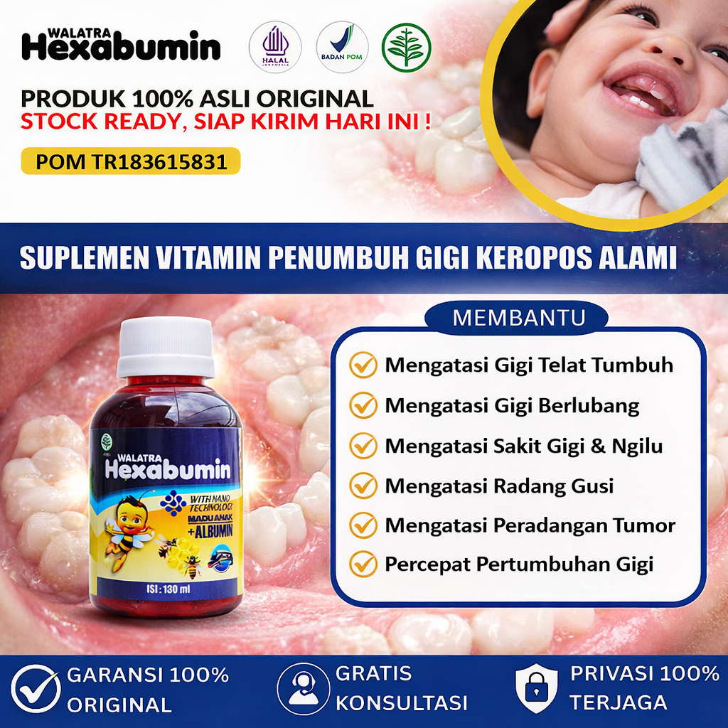 Hexabumin untuk penumbuh gigi, penumbuh gigi anak, Obat Penumbuh Gigi Keropos, bolong, Penumbuh Gigi