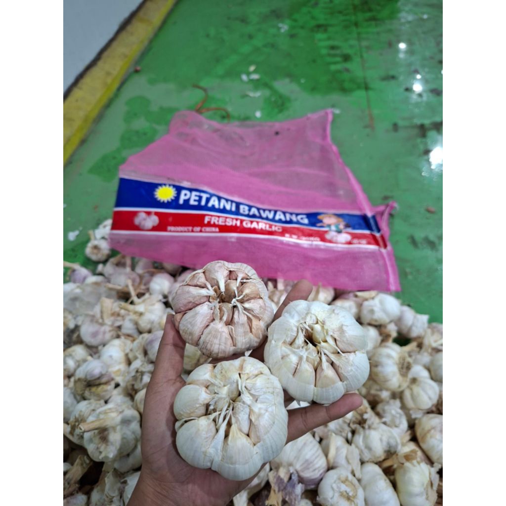 Bawang Putih 1 Kg / bawang putih sinco / bawang putih honan TERMURAH