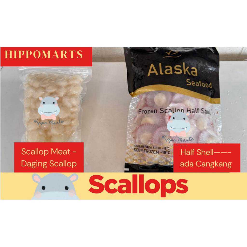 Scallop fresh Frozen / Daging Scallop / Daging Kerang / Kerang Simping
