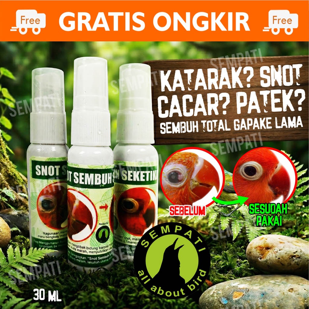 SEMPATI SNOT SEMBUH SEKETIKA MEREK SEMPATI OBAT SAKIT MATA KATARAK BENGKAK BERAIR BURUNG MURAI LOVEB