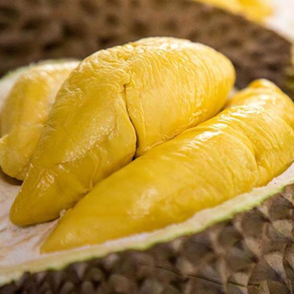 Durian Bawor kupas 500gram // berkualitas Lezat&Legit// Mantap Grade A++