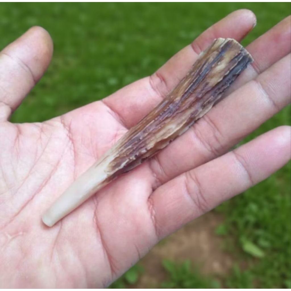 COD CANGKLONG PIPA ROKO TANDUK KIDANG POLOS FIBER