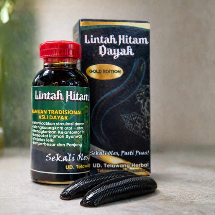 Minyak Lintah Dayak – Minyak Lintah Dayak untuk Meningkatkan Stamina dan Vitalitas
