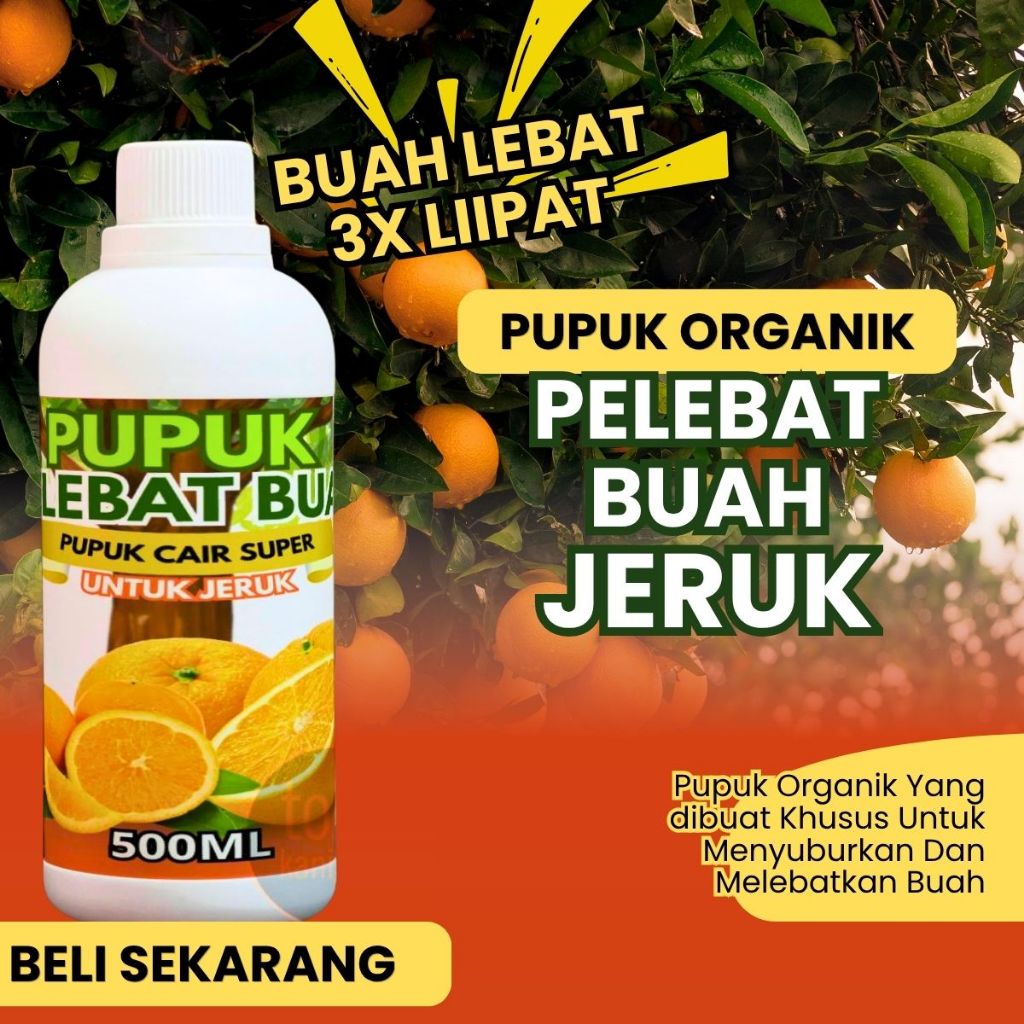 Pupuk Jeruk Manis Pupuk Pemanis Buah Jeruk  Booster Jeruk Manis  Merangsang Pembungaan & pembuahan