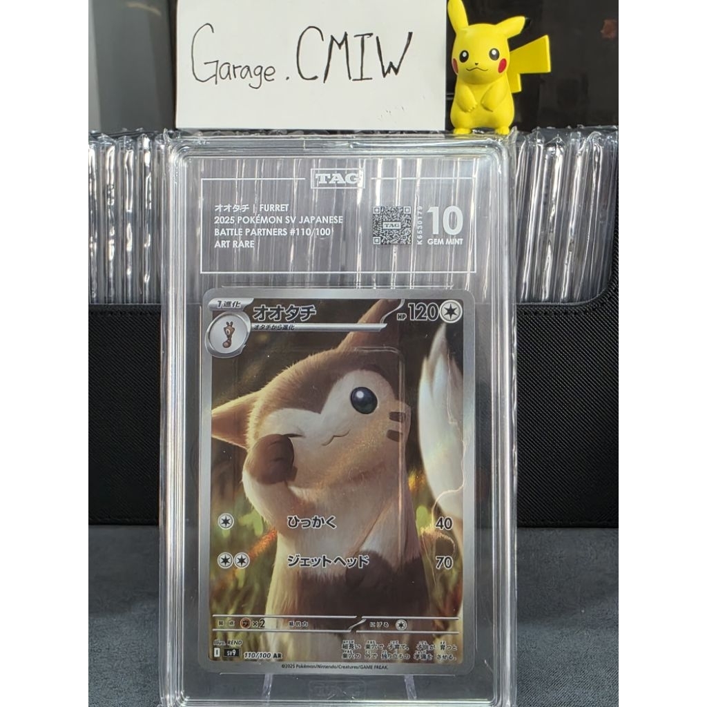 Grade [TAG 10 GEM MINT] SLAB Furret Art Rare 110/100 Battle Partner 2025 Pokemon sv9 Japanese Versio