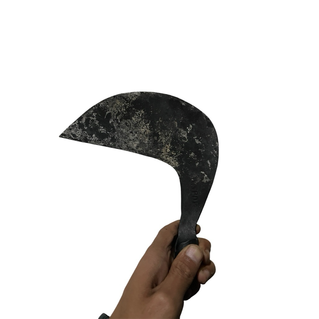 sabit rumput baja per asli