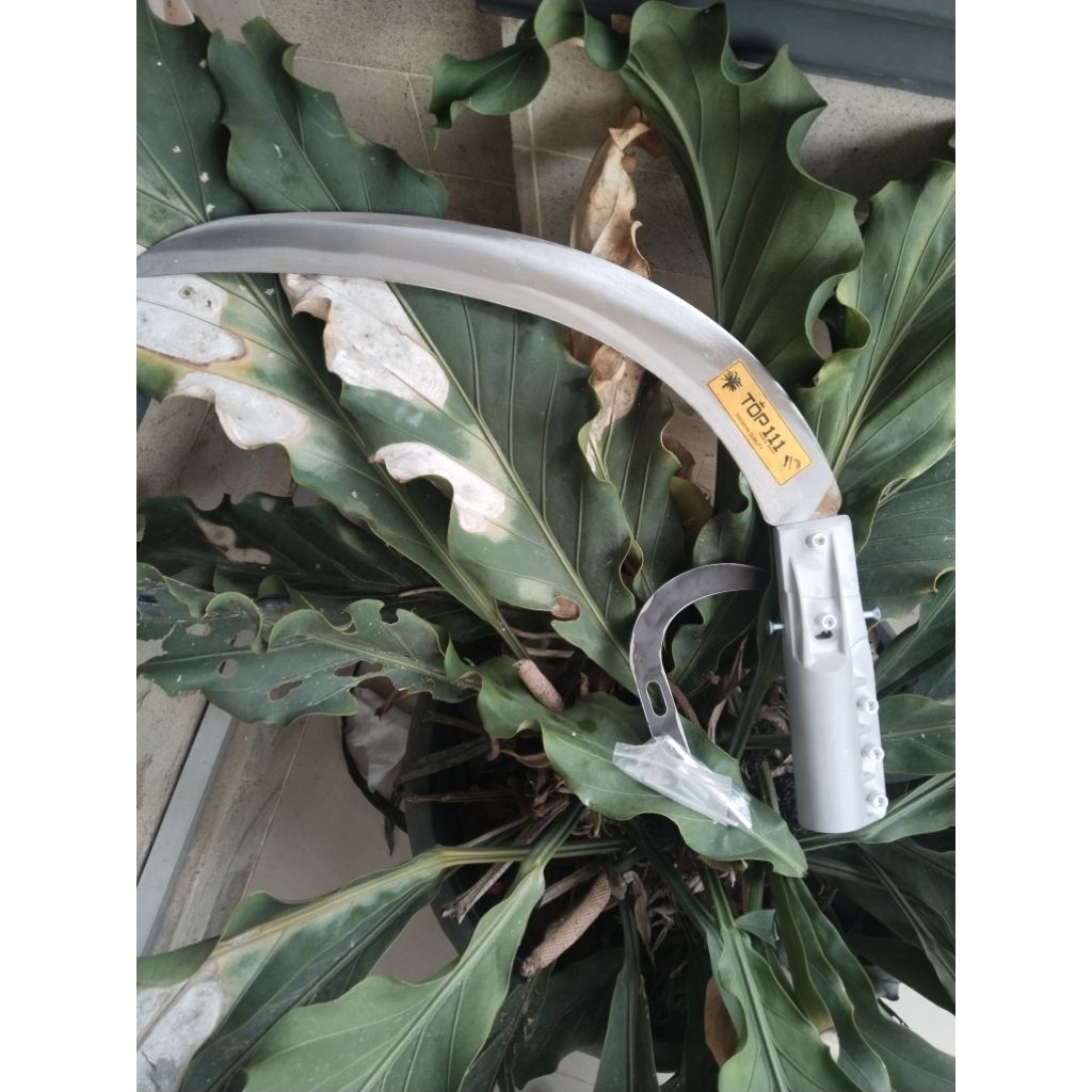 Egrek TOP 111 Original Malaysia