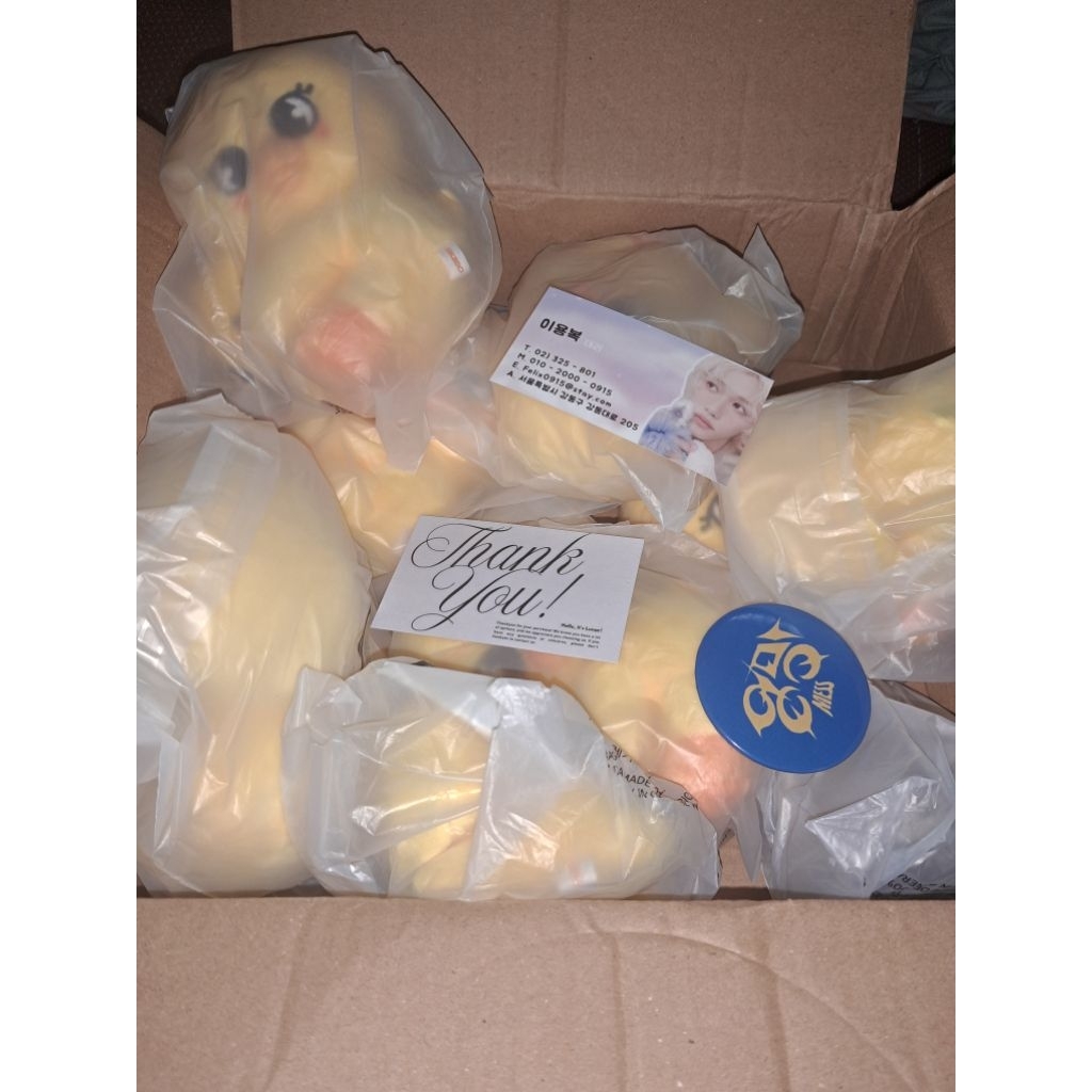 Skzoo Bbokari Magnet Plush
