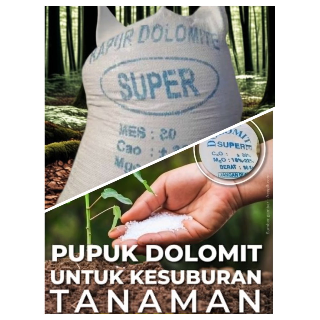 Kapur Dolomit kapur pertanian Super 1kg