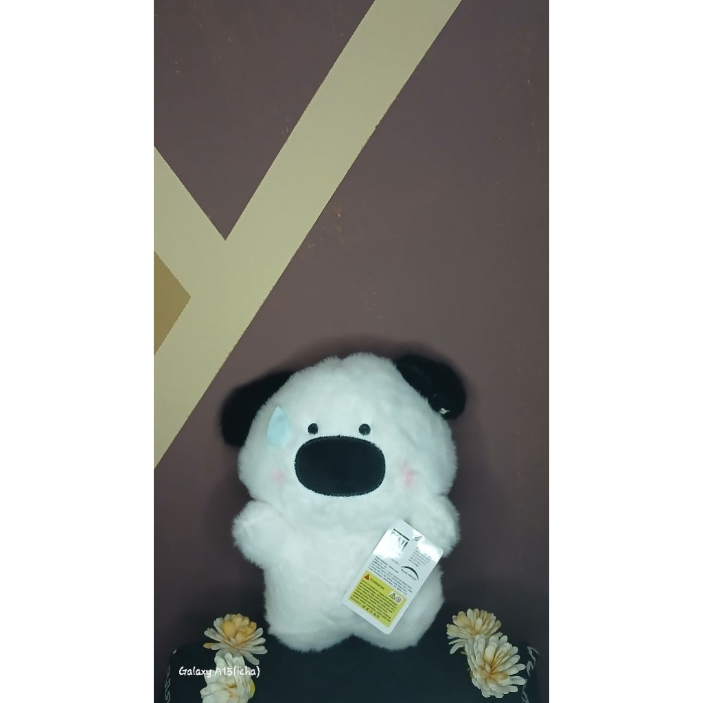 boneka anjing hidung besar