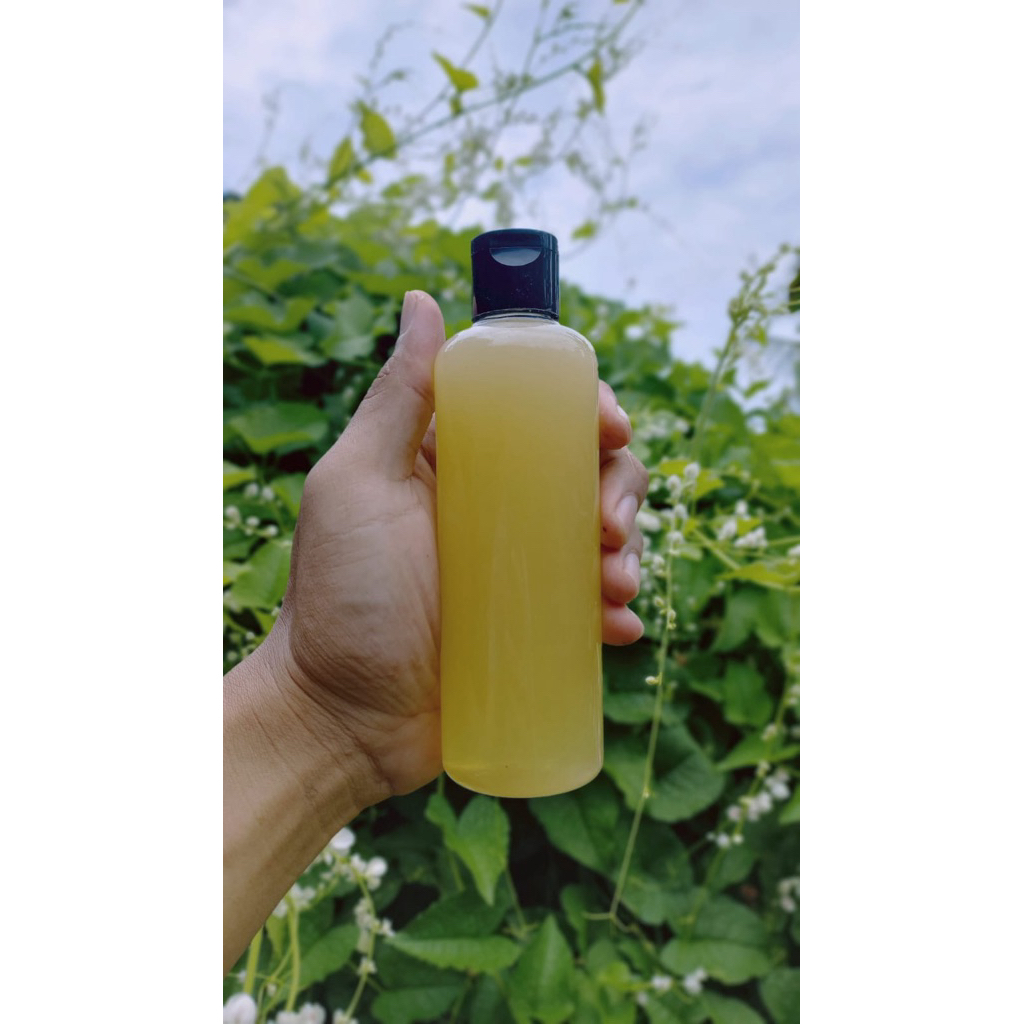Madu Trigona